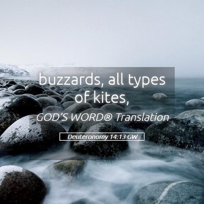 Picture 05 - Deuteronomy 14:13 GW - buzzards, all types of - Bible Verse Picture