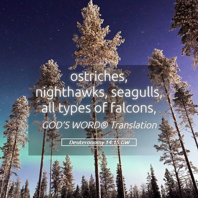 Picture 05 - Deuteronomy 14:15 GW - ostriches, nighthawks, seagulls, all types of - Bible Verse Picture