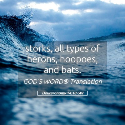 Picture 05 - Deuteronomy 14:18 GW - storks, all types of herons, hoopoes, and - Bible Verse Picture