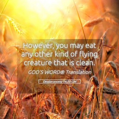 Picture 05 - Deuteronomy 14:20 GW - However, you may eat any other kind of flying - Bible Verse Picture