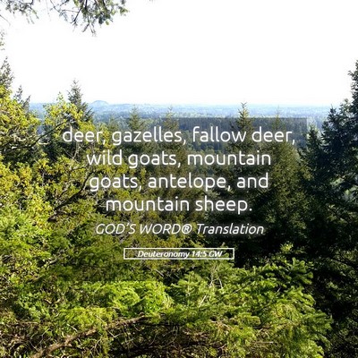 Picture 05 - Deuteronomy 14:5 GW - deer, gazelles, fallow deer, wild goats, mountain - Bible Verse Picture