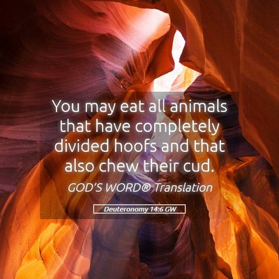 Picture 05 - Deuteronomy 14:6 GW - You may eat all animals that have completely - Bible Verse Picture