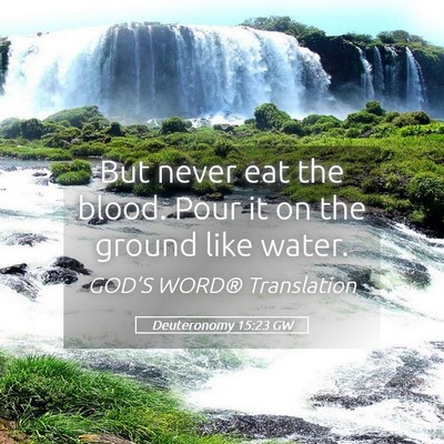 Picture 05 - Deuteronomy 15:23 GW - But never eat the blood. Pour it on the ground - Bible Verse Picture