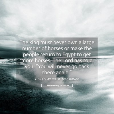 Picture 05 - Deuteronomy 17:16 GW - The king must never own a large number of horses - Bible Verse Picture