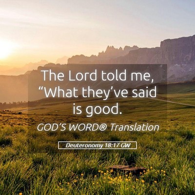 Picture 05 - Deuteronomy 18:17 GW - The Lord told me, “What they’ve said is - Bible Verse Picture