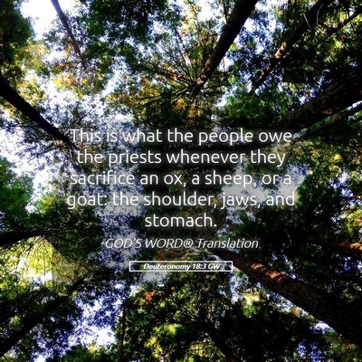 Picture 05 - Deuteronomy 18:3 GW - This is what the people owe the priests whenever - Bible Verse Picture