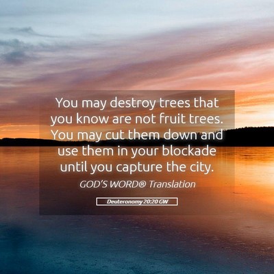 Picture 05 - Deuteronomy 20:20 GW - You may destroy trees that you know are not fruit - Bible Verse Picture