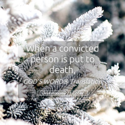 Picture 05 - Deuteronomy 21:22 GW - When a convicted person is put to - Bible Verse Picture