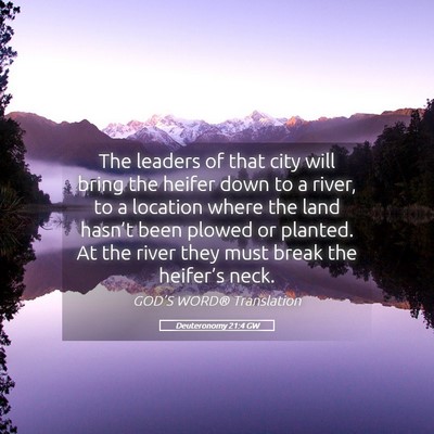 Picture 05 - Deuteronomy 21:4 GW - The leaders of that city will bring the heifer - Bible Verse Picture