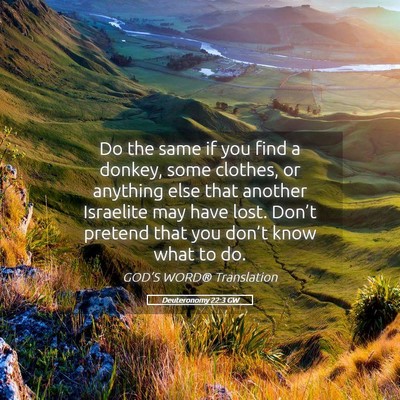 Picture 05 - Deuteronomy 22:3 GW - Do the same if you find a donkey, some clothes, - Bible Verse Picture