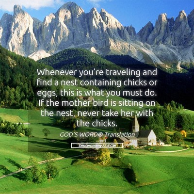 Picture 05 - Deuteronomy 22:6 GW - Whenever you’re traveling and find a nest - Bible Verse Picture