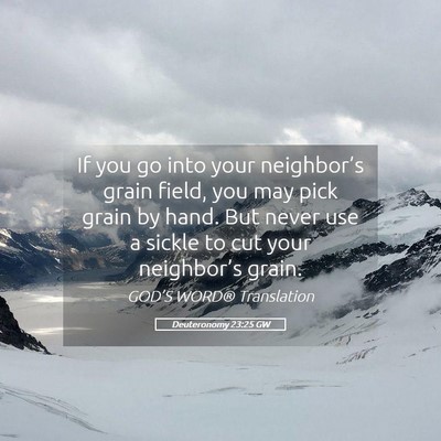 Picture 05 - Deuteronomy 23:25 GW - If you go into your neighbor’s grain field, you - Bible Verse Picture