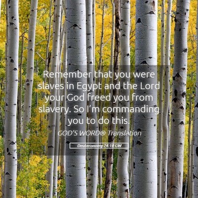 Picture 05 - Deuteronomy 24:18 GW - Remember that you were slaves in Egypt and the - Bible Verse Picture