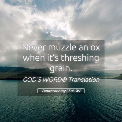 Picture 05 - Deuteronomy 25:4 GW - Never muzzle an ox when it’s threshing - Bible Verse Picture