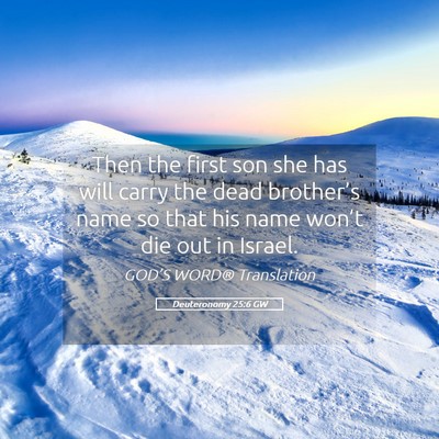 Picture 05 - Deuteronomy 25:6 GW - Then the first son she has will carry the dead - Bible Verse Picture