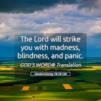 Picture 05 - Deuteronomy 28:28 GW - The Lord will strike you with madness, blindness, - Bible Verse Picture