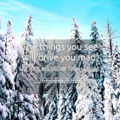 Picture 05 - Deuteronomy 28:34 GW - The things you see will drive you - Bible Verse Picture