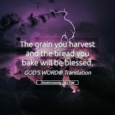 Picture 05 - Deuteronomy 28:5 GW - The grain you harvest and the bread you bake will - Bible Verse Picture