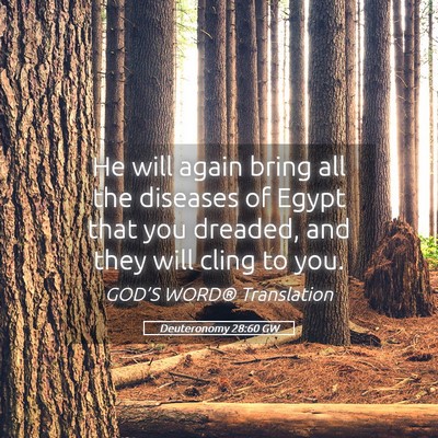 Picture 05 - Deuteronomy 28:60 GW - He will again bring all the diseases of Egypt - Bible Verse Picture