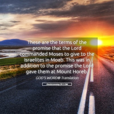 Picture 05 - Deuteronomy 29:1 GW - These are the terms of the promise that the Lord - Bible Verse Picture