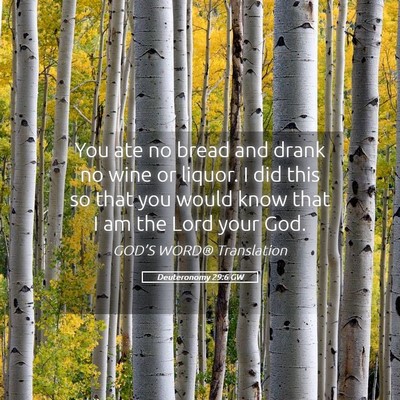 Picture 05 - Deuteronomy 29:6 GW - You ate no bread and drank no wine or liquor. I - Bible Verse Picture