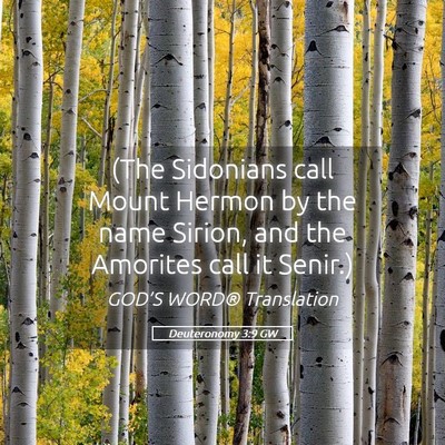 Picture 05 - Deuteronomy 3:9 GW - (The Sidonians call Mount Hermon by the name - Bible Verse Picture