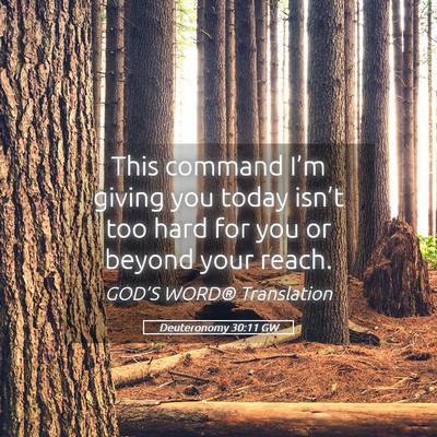 Picture 05 - Deuteronomy 30:11 GW - This command I’m giving you today isn’t too - Bible Verse Picture