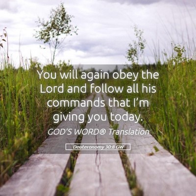 Picture 05 - Deuteronomy 30:8 GW - You will again obey the Lord and follow all his - Bible Verse Picture