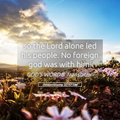 Picture 05 - Deuteronomy 32:12 GW - so the Lord alone led his people. No foreign god - Bible Verse Picture