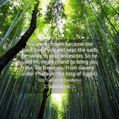 Picture 05 - Deuteronomy 7:8 GW - You were chosen because the Lord loved you and - Bible Verse Picture