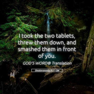 Picture 05 - Deuteronomy 9:17 GW - I took the two tablets, threw them down, and - Bible Verse Picture
