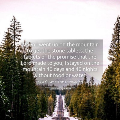 Picture 05 - Deuteronomy 9:9 GW - When I went up on the mountain to get the stone - Bible Verse Picture