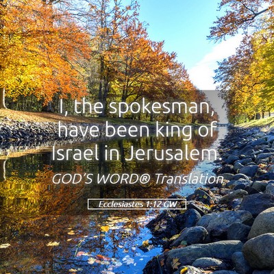 Picture 05 - Ecclesiastes 1:12 GW - I, the spokesman, have been king of Israel in - Bible Verse Picture