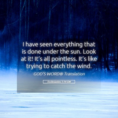 Picture 05 - Ecclesiastes 1:14 GW - I have seen everything that is done under the - Bible Verse Picture
