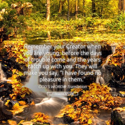 Picture 05 - Ecclesiastes 12:1 GW - Remember your Creator when you are young, before - Bible Verse Picture