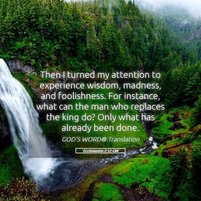 Picture 05 - Ecclesiastes 2:12 GW - Then I turned my attention to experience wisdom, - Bible Verse Picture