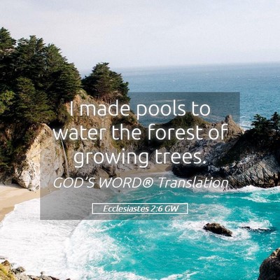 Picture 05 - Ecclesiastes 2:6 GW - I made pools to water the forest of growing - Bible Verse Picture