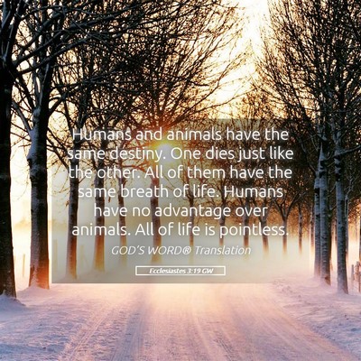 Picture 05 - Ecclesiastes 3:19 GW - Humans and animals have the same destiny. One - Bible Verse Picture