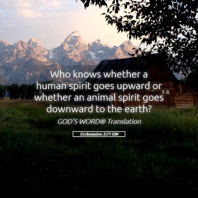 Picture 05 - Ecclesiastes 3:21 GW - Who knows whether a human spirit goes upward or - Bible Verse Picture