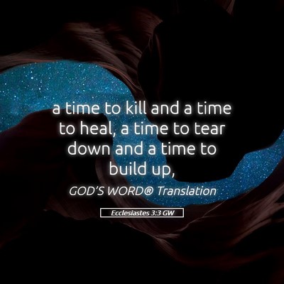 Picture 05 - Ecclesiastes 3:3 GW - a time to kill and a time to heal, a time to tear - Bible Verse Picture