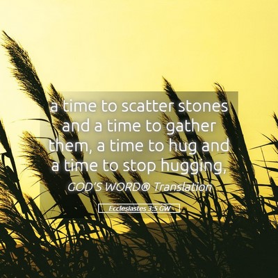 Picture 05 - Ecclesiastes 3:5 GW - a time to scatter stones and a time to gather - Bible Verse Picture