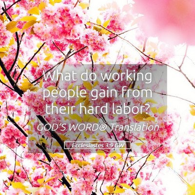 Picture 05 - Ecclesiastes 3:9 GW - What do working people gain from their hard - Bible Verse Picture