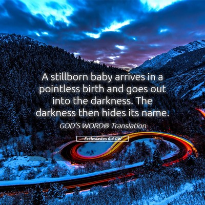 Picture 05 - Ecclesiastes 6:4 GW - A stillborn baby arrives in a pointless birth and - Bible Verse Picture