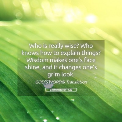 Picture 05 - Ecclesiastes 8:1 GW - Who is really wise? Who knows how to explain - Bible Verse Picture