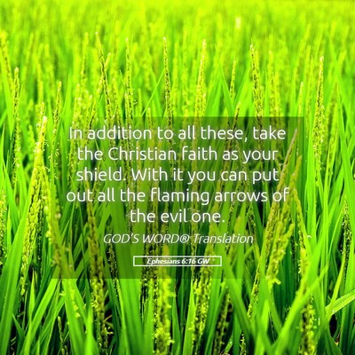 Picture 05 - Ephesians 6:16 GW - In addition to all these, take the Christian - Bible Verse Picture