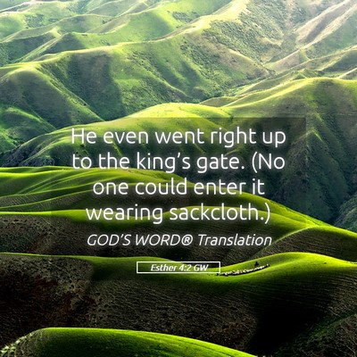 Picture 05 - Esther 4:2 GW - He even went right up to the king’s gate. (No - Bible Verse Picture