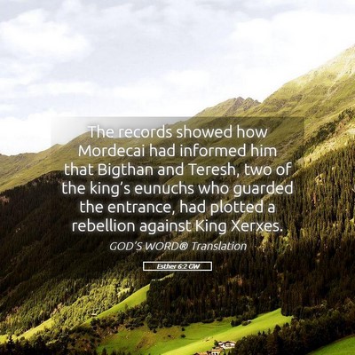 Picture 05 - Esther 6:2 GW - The records showed how Mordecai had informed him - Bible Verse Picture