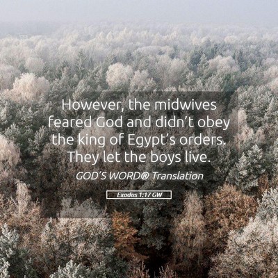 Picture 05 - Exodus 1:17 GW - However, the midwives feared God and didn’t - Bible Verse Picture