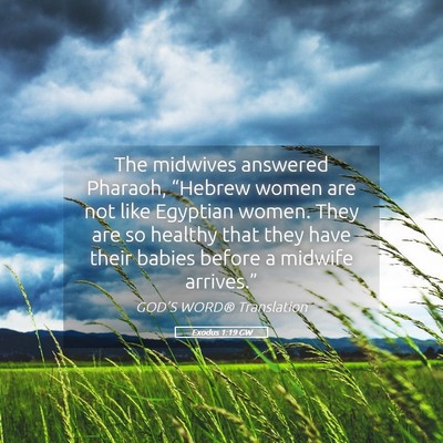 Picture 05 - Exodus 1:19 GW - The midwives answered Pharaoh, “Hebrew women - Bible Verse Picture
