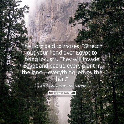 Picture 05 - Exodus 10:12 GW - The Lord said to Moses, “Stretch out your hand - Bible Verse Picture